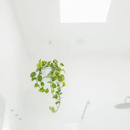 Design Loft With Free Private Parking * Turin